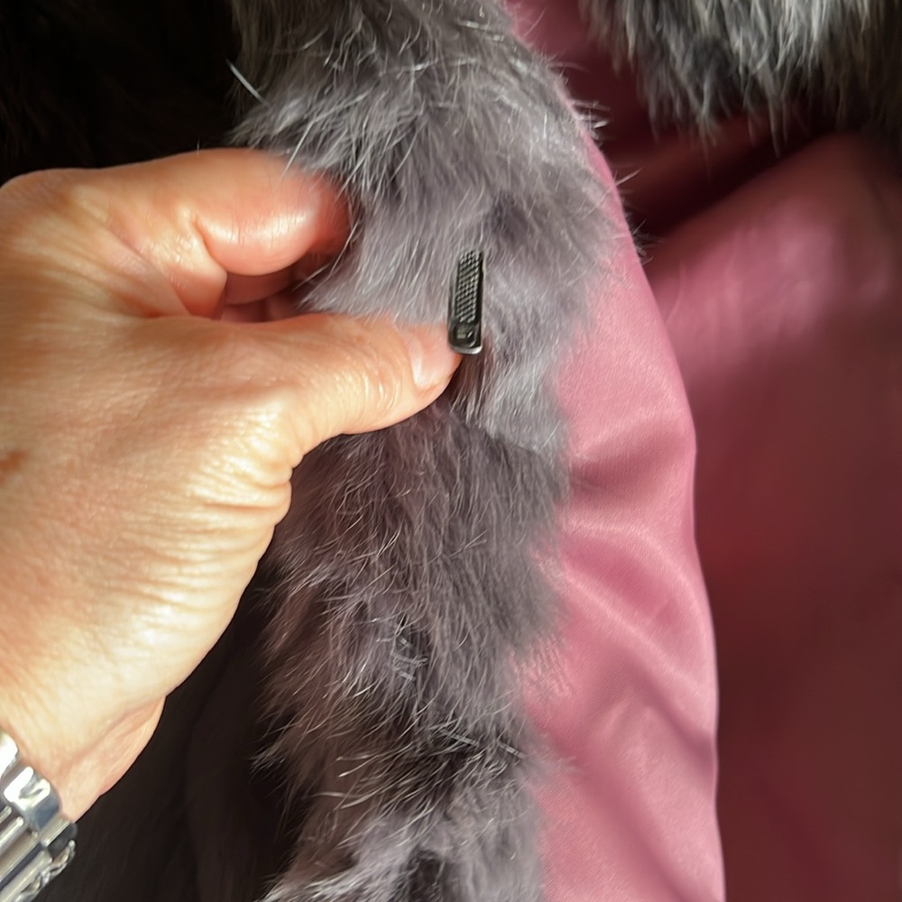 €Hostpick 11/11Genuine silver Fox Rabbit?? - Picture 5 of 11